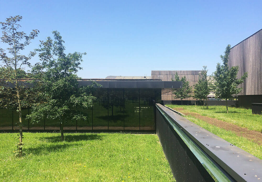 - | BVL Architecture