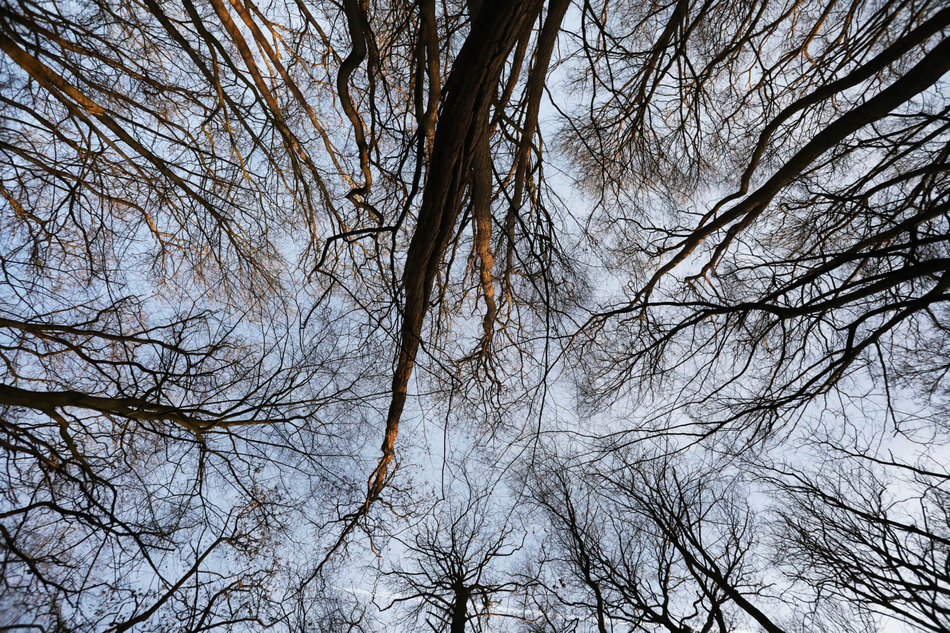 Nomad Lab | Bibbi Abruzzini