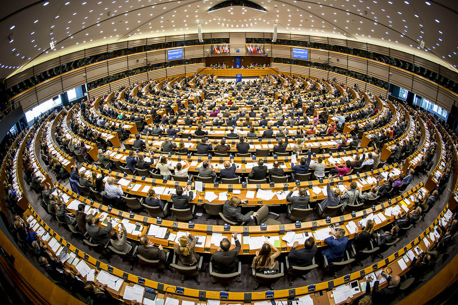 #30s4Economy -European Parliament MEPs | Bibbi Abruzzini