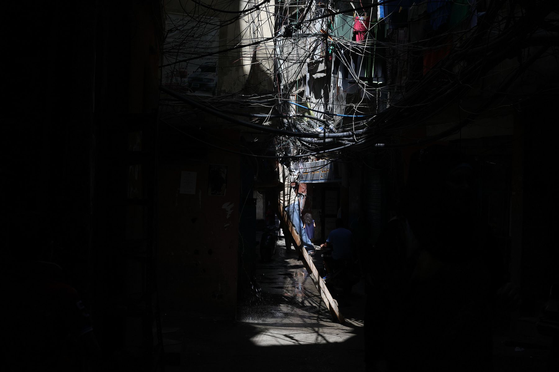 - | Bibbi Abruzzini