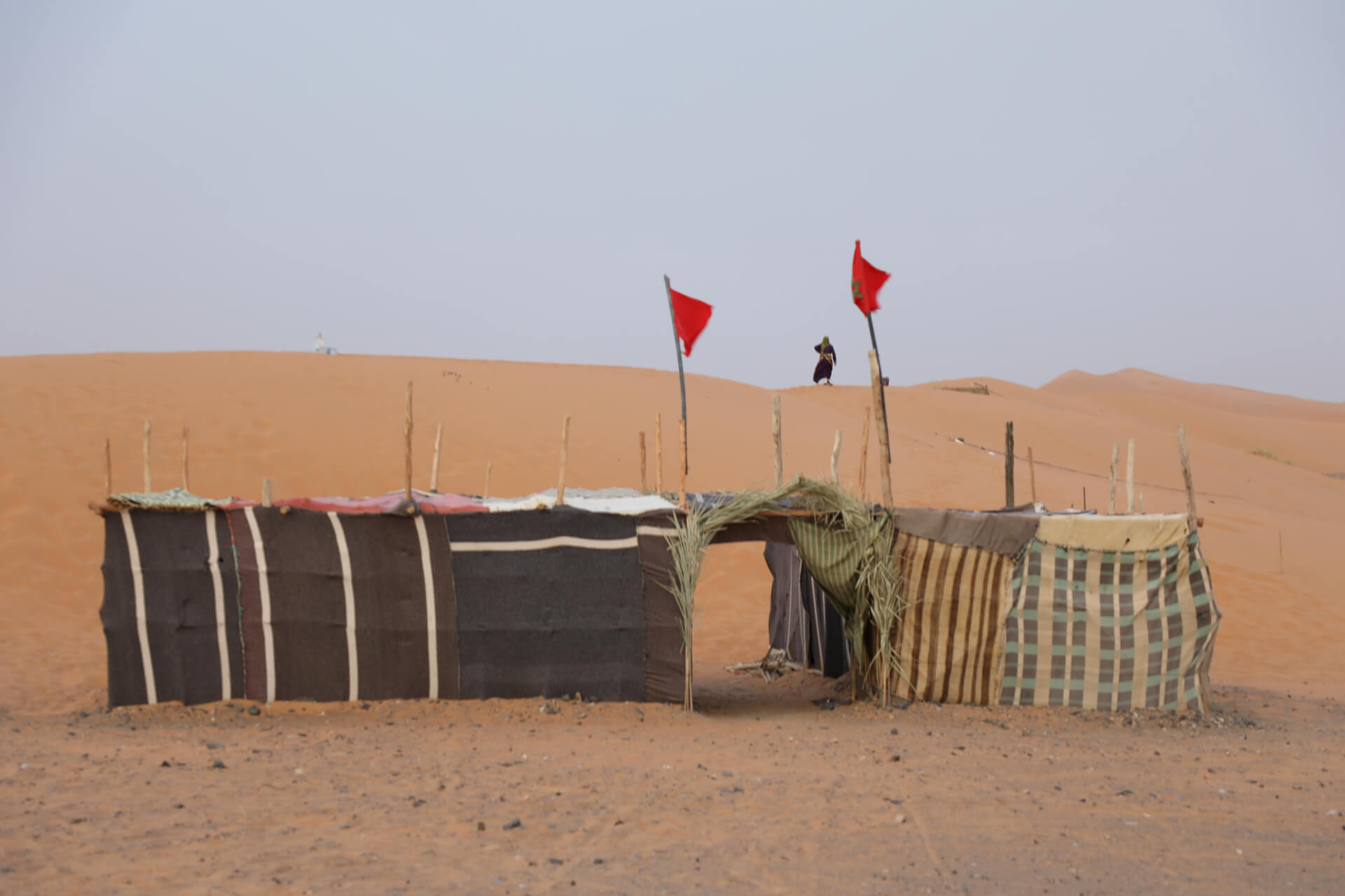 - | Both Nomads