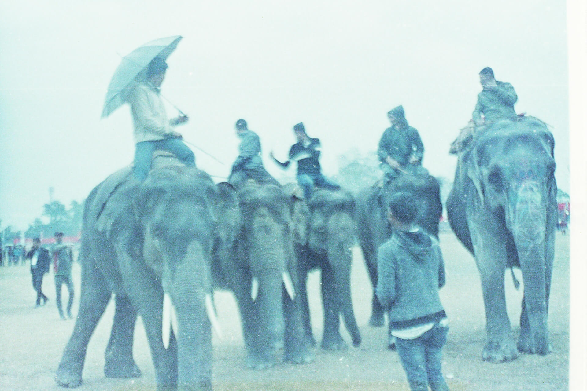 - | Both Nomads