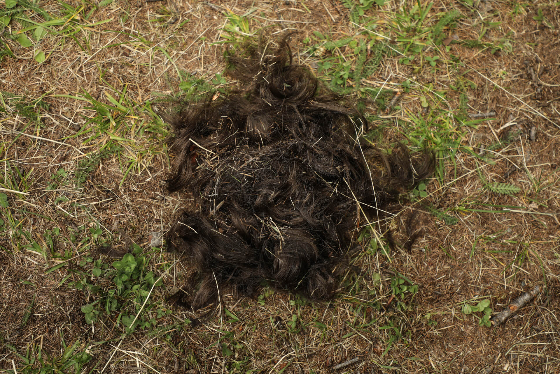 Mobile Home | Both Nomads