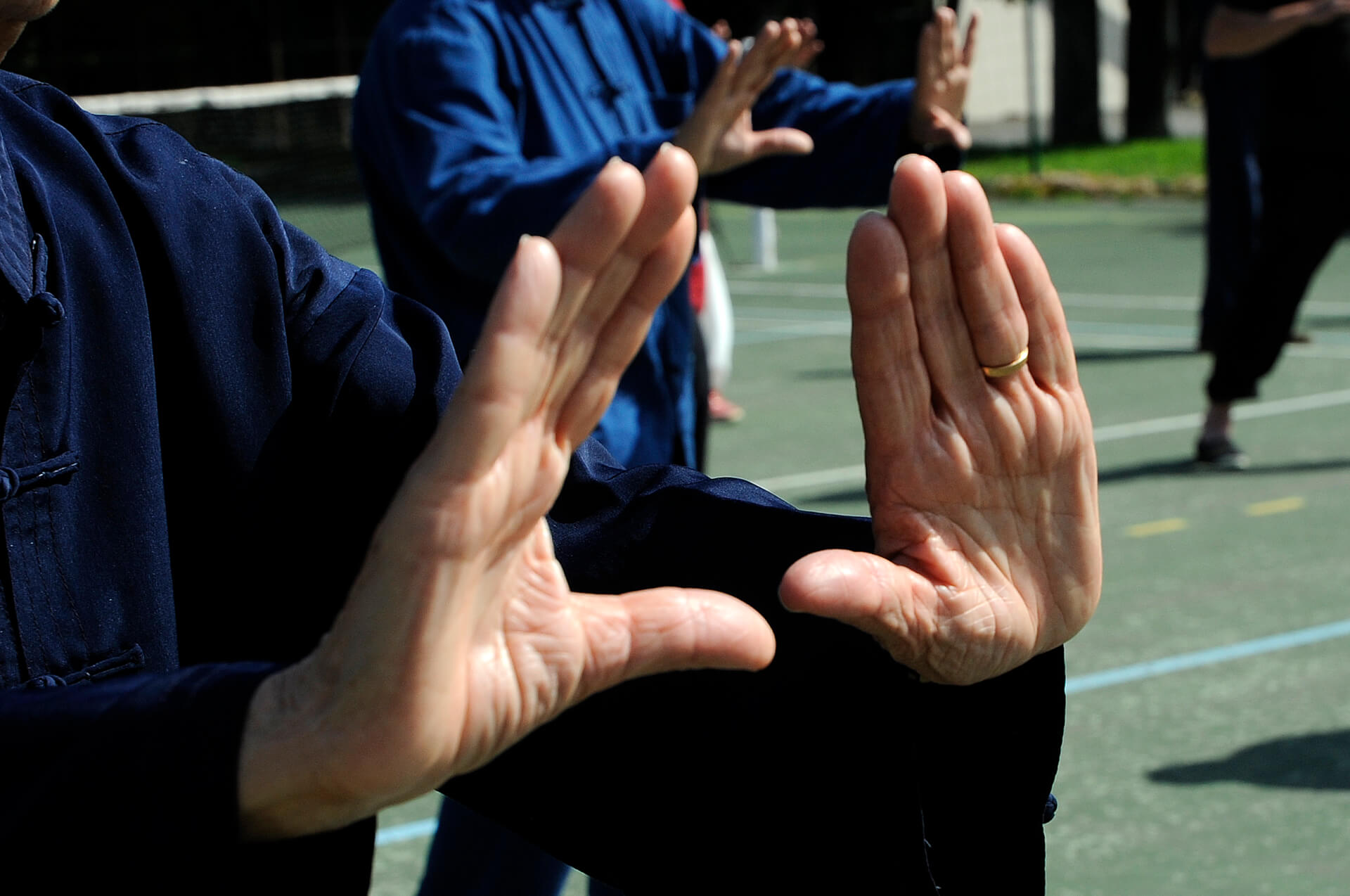 L'Oiseau Bleu | What The Web