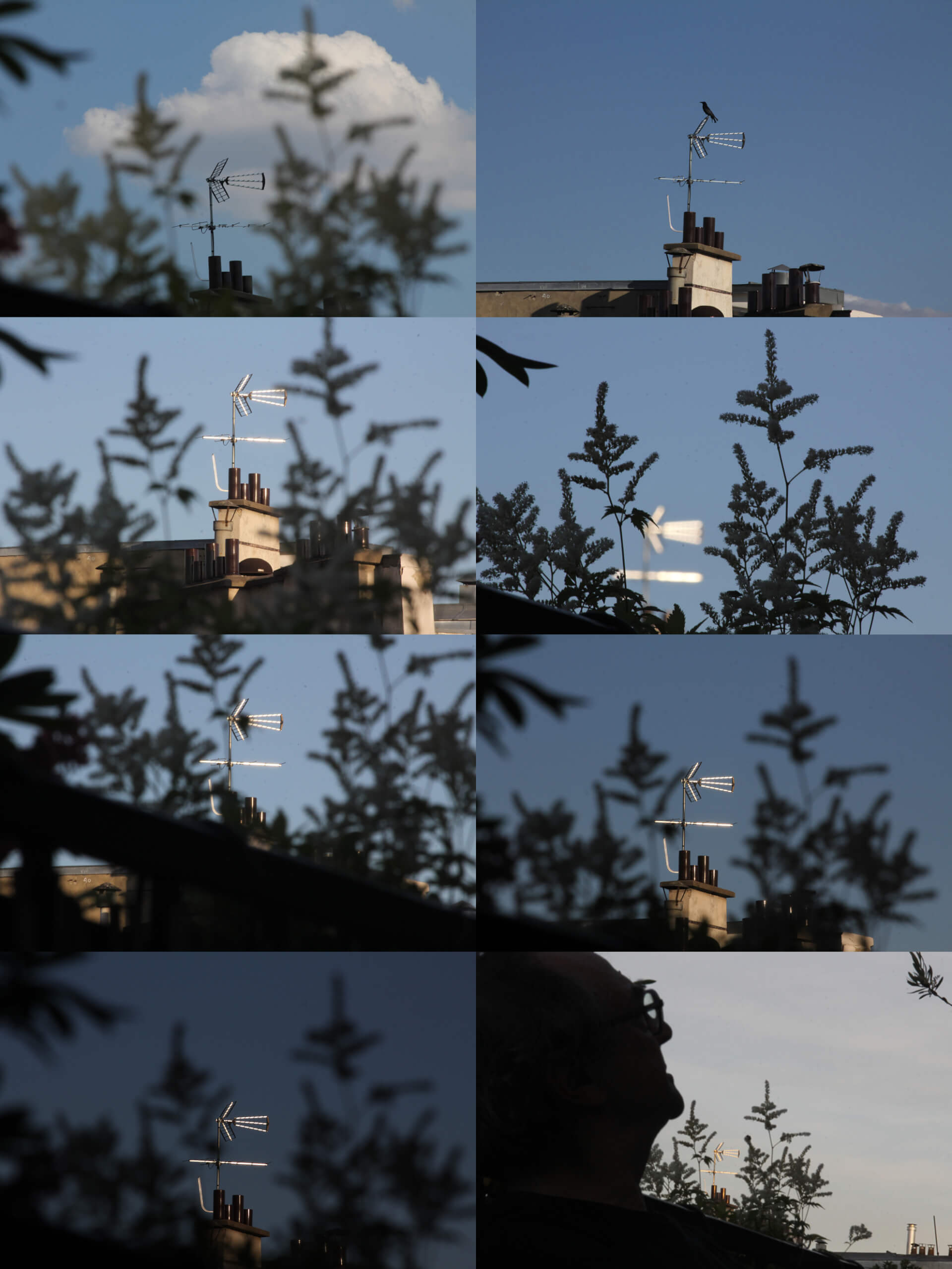 -Longue soirée télé | Manon Zeidman