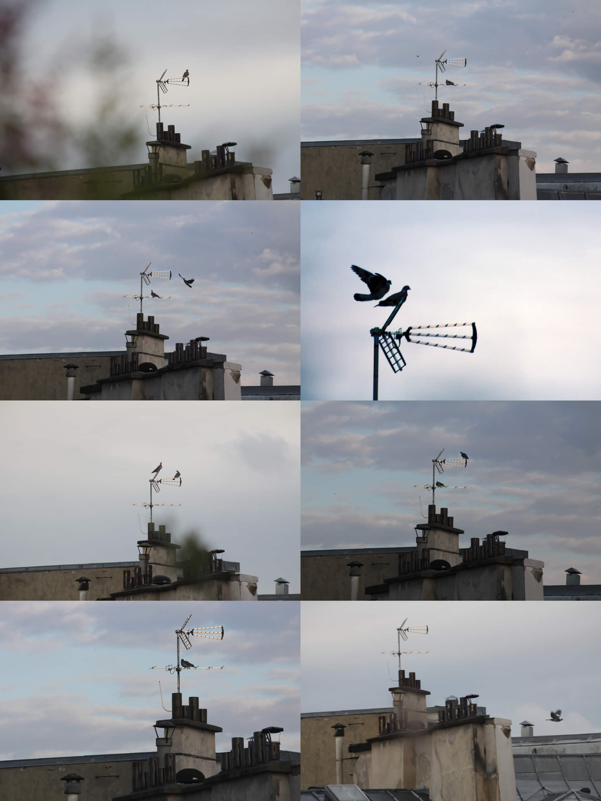 -Antenne occupée | Manon Zeidman