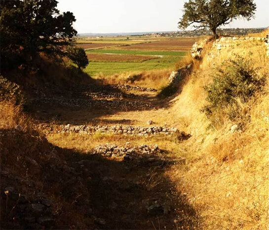 L’ingresso in Asia. La bellezza e i cretini | Babelmed