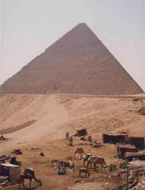 Letter to Europe | Babelmed