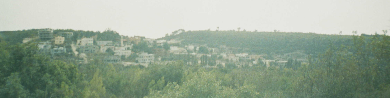 Arab Unrecognized Villages: Ain Hod | Babelmed