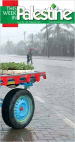 This Week in Palestine | Babelmed