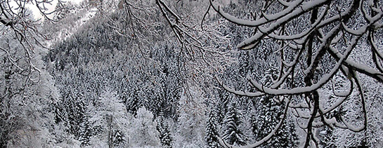 Winter asylum in the EU | Babelmed