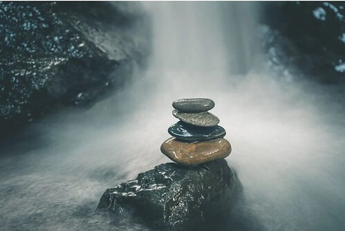 Nửa thế kỉ nhìn lại | Vietnam Fraternité