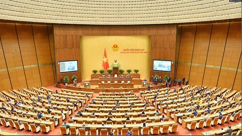 Quốc hội, nhân dân và những võ sĩ giác đấu | Vietnam Fraternité
