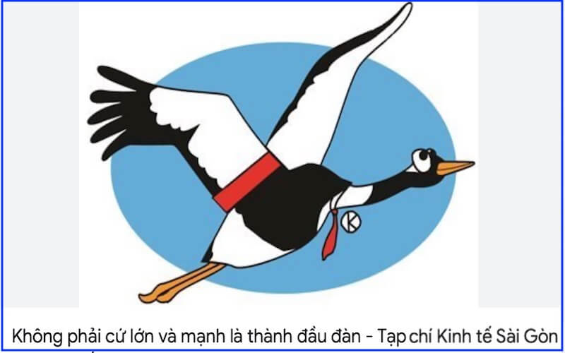 Đất không lành, sếu không đậu | Vietnam Fraternité