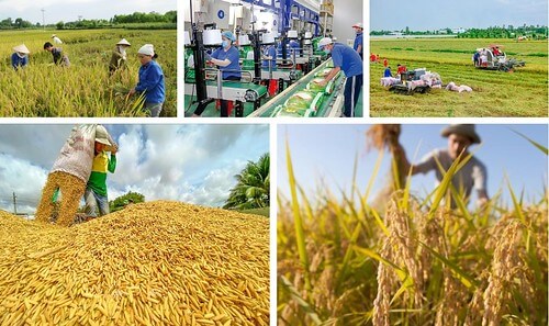 Kênh Phù Nam ảnh hưởng gì đến đời sống người miền Tây Nam bộ ? | Vietnam Fraternité