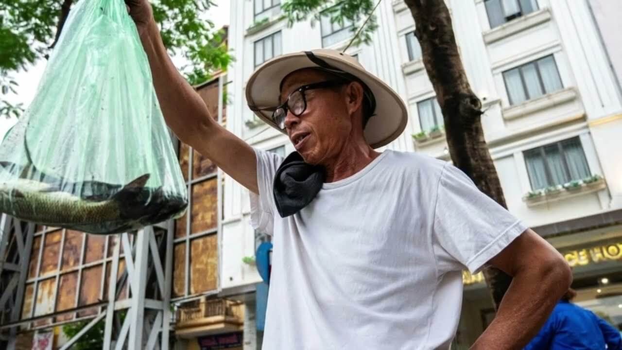 Tuyệt vời, Tô Lịch trở lại dòng sông Cổ tích Thăng Long! Cứ như truyện thần tiên!