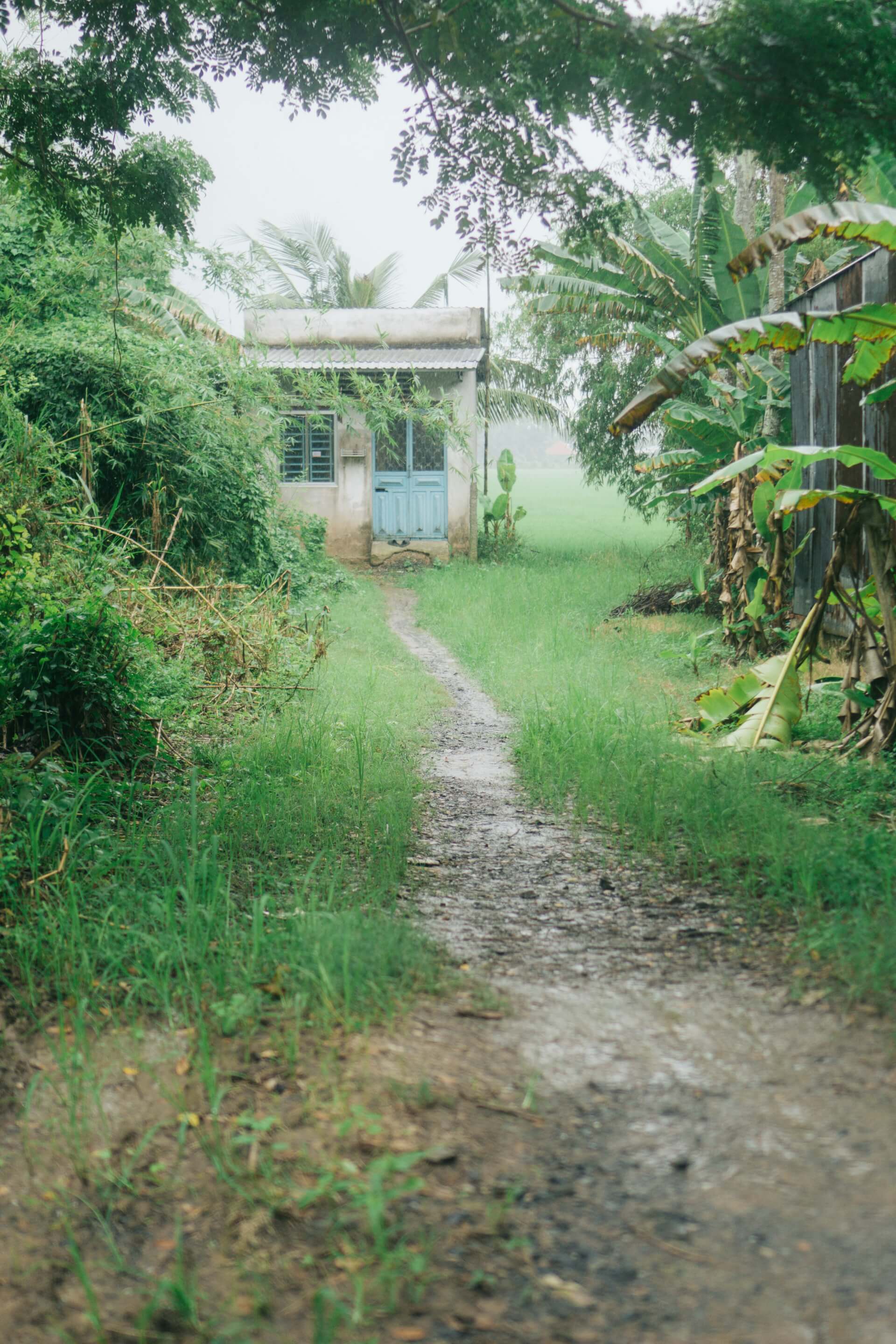 DrepaGuyane : Lutter contre la drépanocytose, en plein cœur de l’Amazonie | What The Web