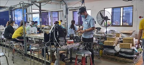 Sức khỏe của doanh nghiệp đang suy kiệt ? | Vietnam Fraternité