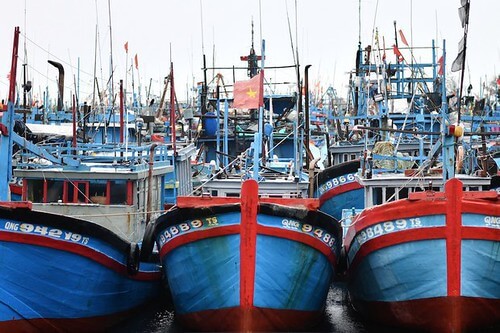 Gỡ thẻ vàng IUU – Ngư dân hay Nhà nước lo ? | Vietnam Fraternité