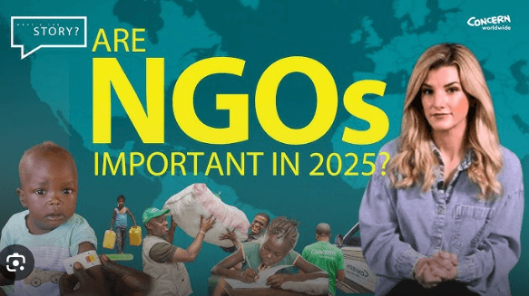 Tại sao thế giới lại quay lưng với các tổ chức phi chính phủ ? | Vietnam Fraternité