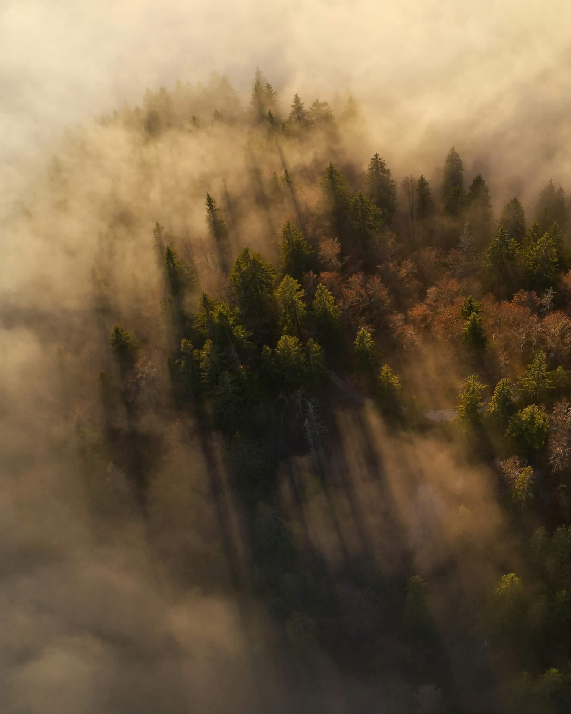 AFKE : Voyager autrement, depuis les steppes kirghizes | What The Web