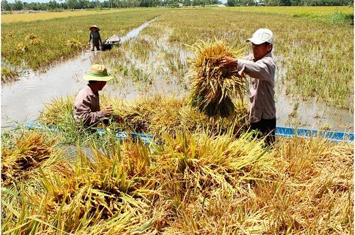 Đảng muốn giữ tay trên trên mọi lãnh vực | Vietnam Fraternité