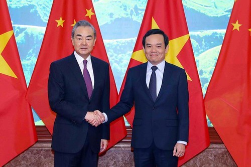 Chuyến thăm của Tập Cận Bình : Bản lĩnh cây tre của Việt Nam sẽ ra sao ? | Vietnam Fraternité