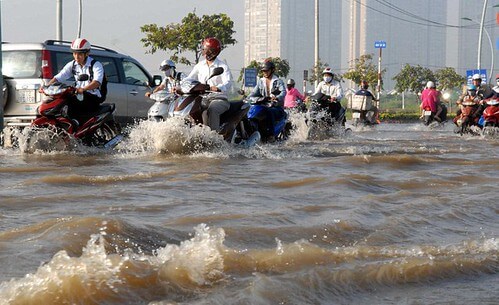 Bơi nhanh, bơi mạnh, bơi vững chắc ! | Vietnam Fraternité