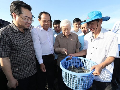 "Già gân" Tổng đang gân, bao giờ ông "đứt gân" ? | Vietnam Fraternité
