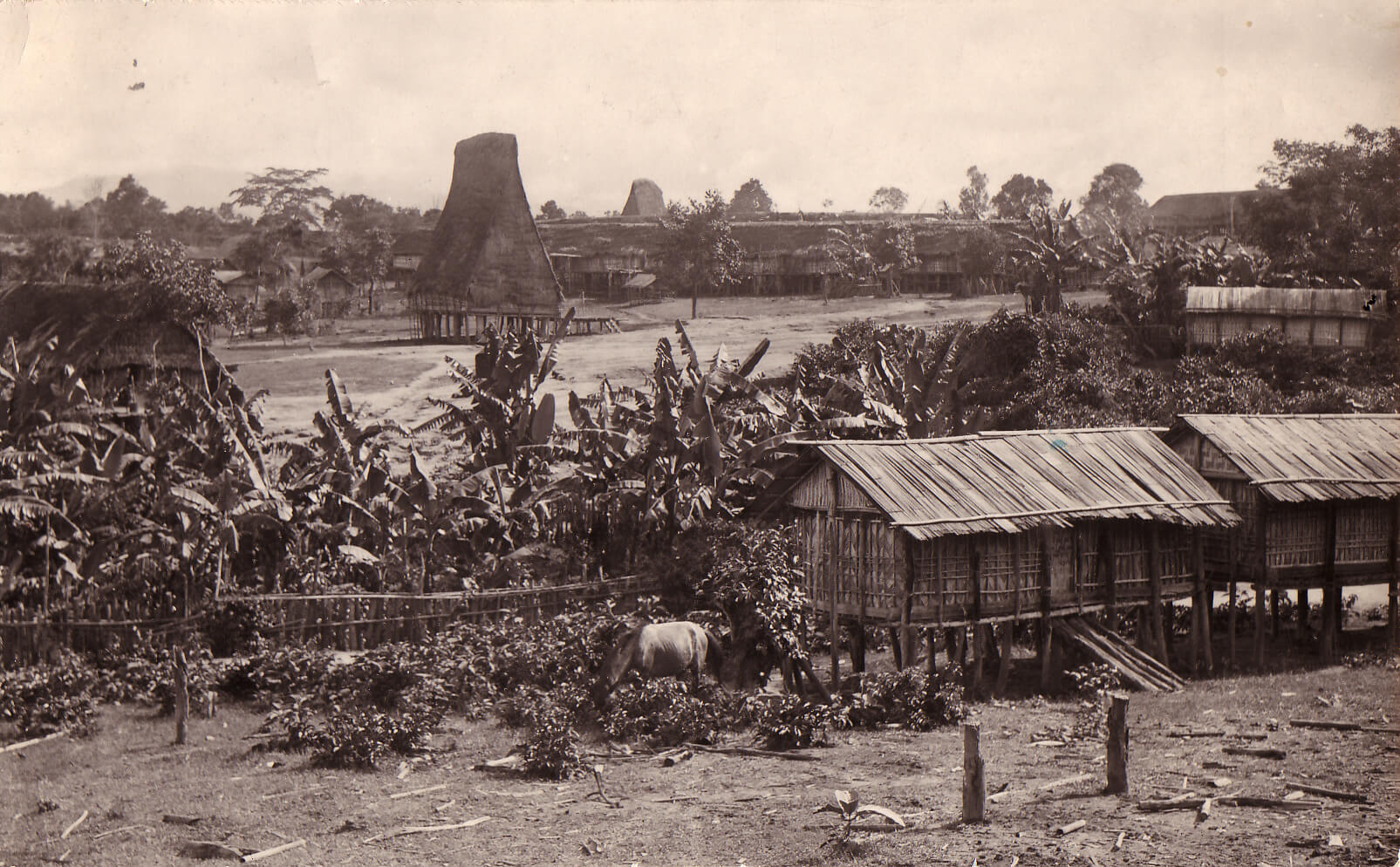 Vietnam Fraternité