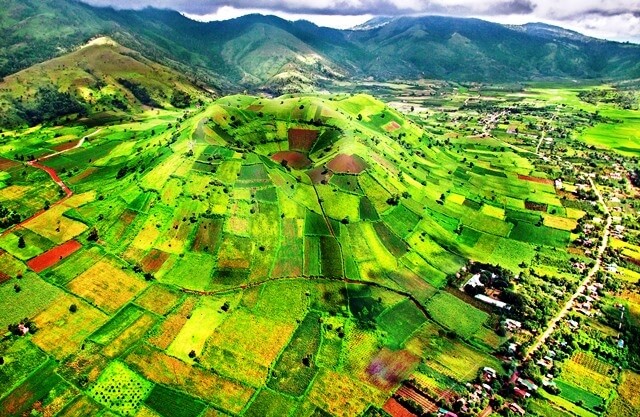 Vietnam Fraternité