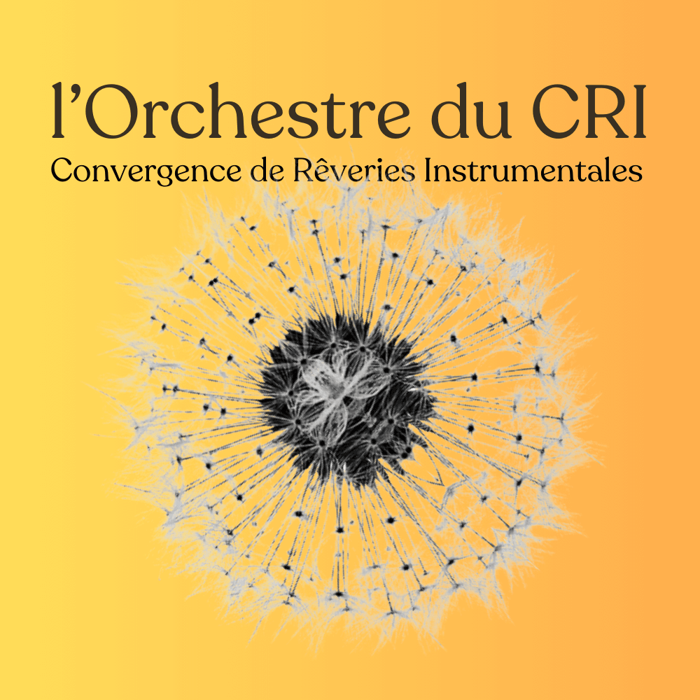 L'ORCHESTRE du CRI | Le Grrizzli