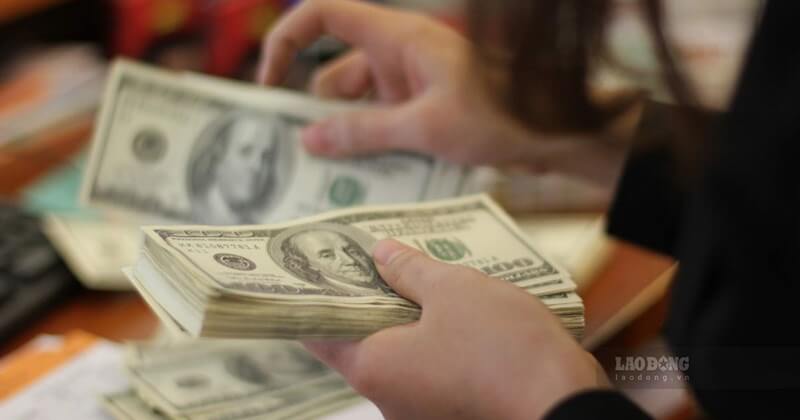 Đồng đô la mất giá : Hiện tượng không thể đảo ngược ? | Vietnam Fraternité