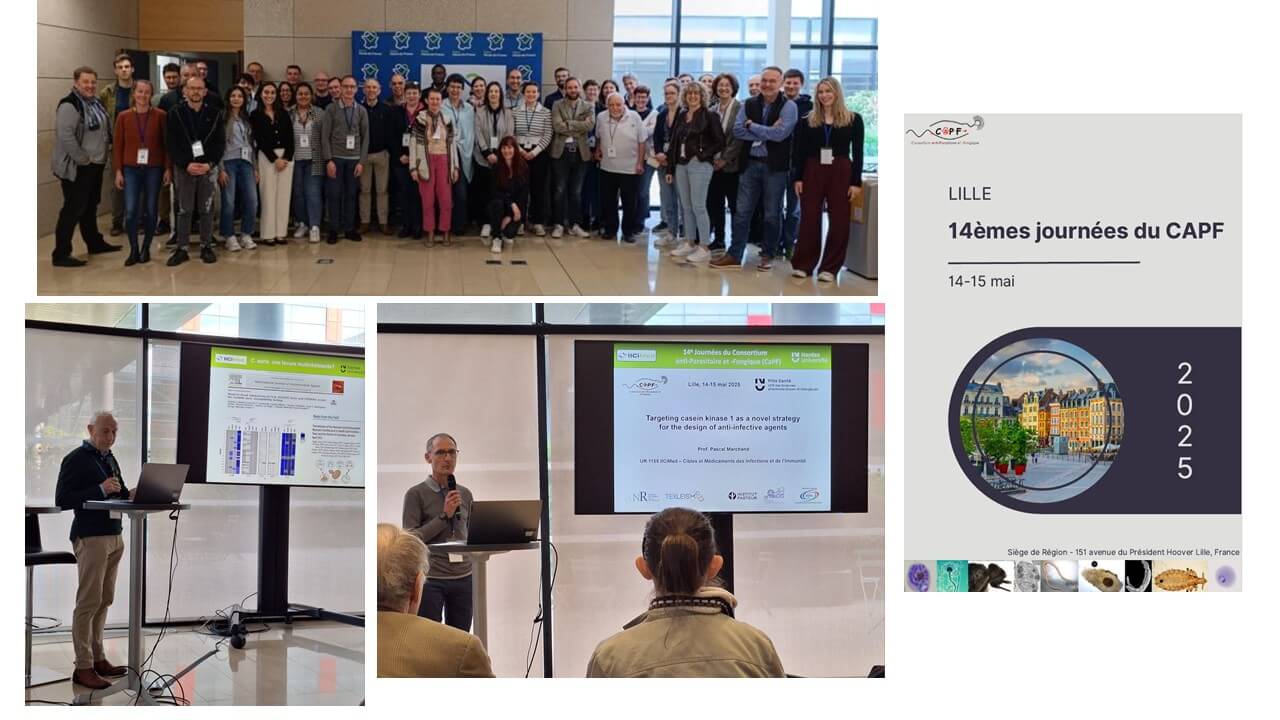 CaPF (Consortium against Parasites and Fungi) conference in Lille, May 14-15, 2025. | IICIMED