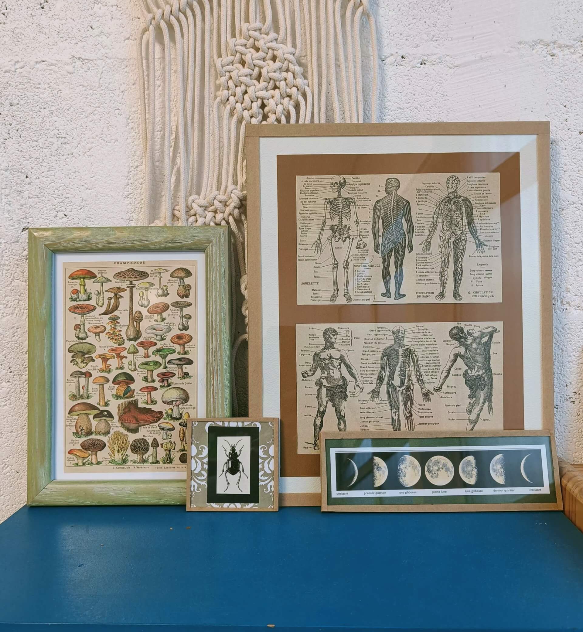 ATELIER / Encadrement / 10€ | La Venelle