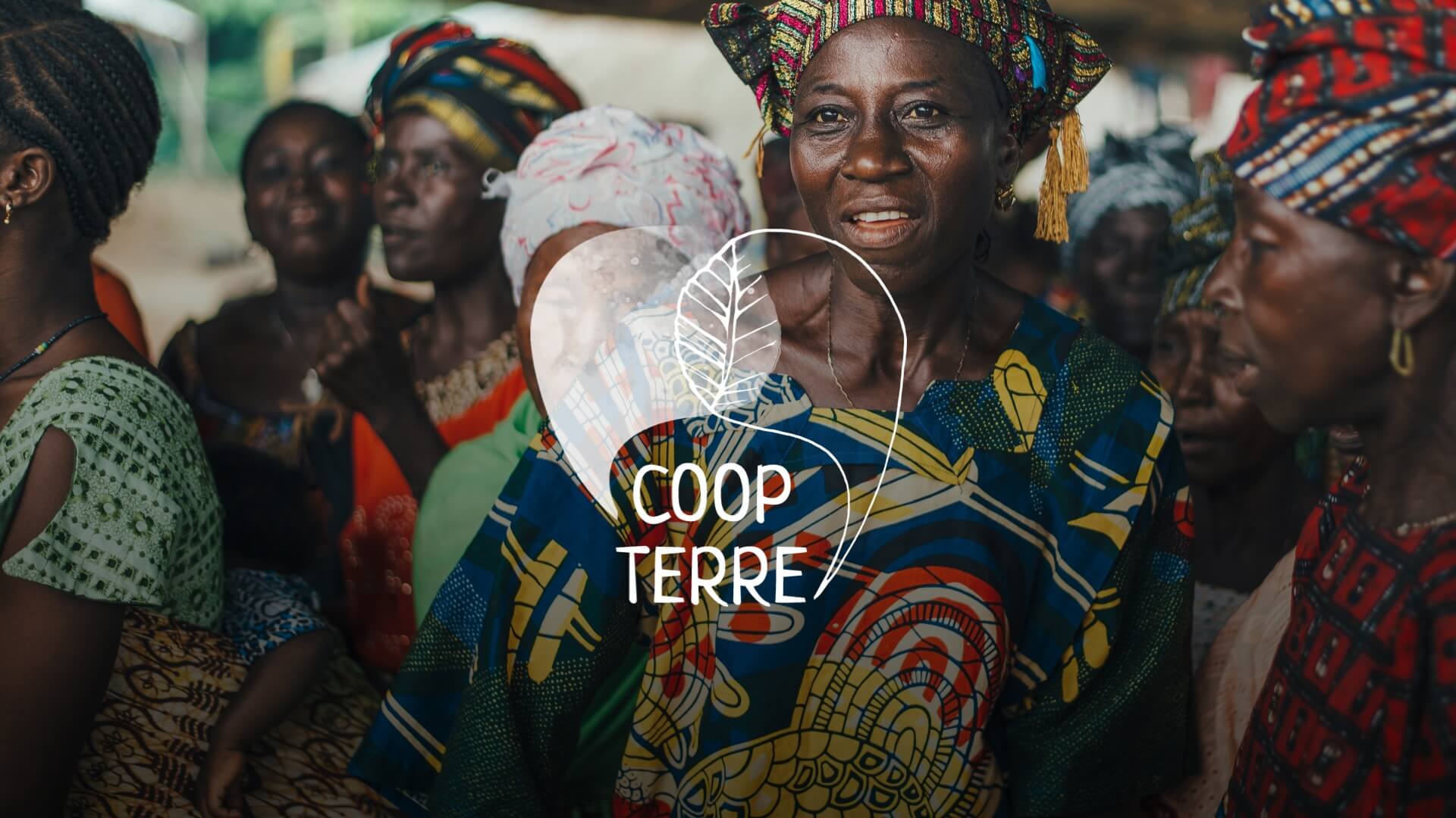 Coopterre | What The Web