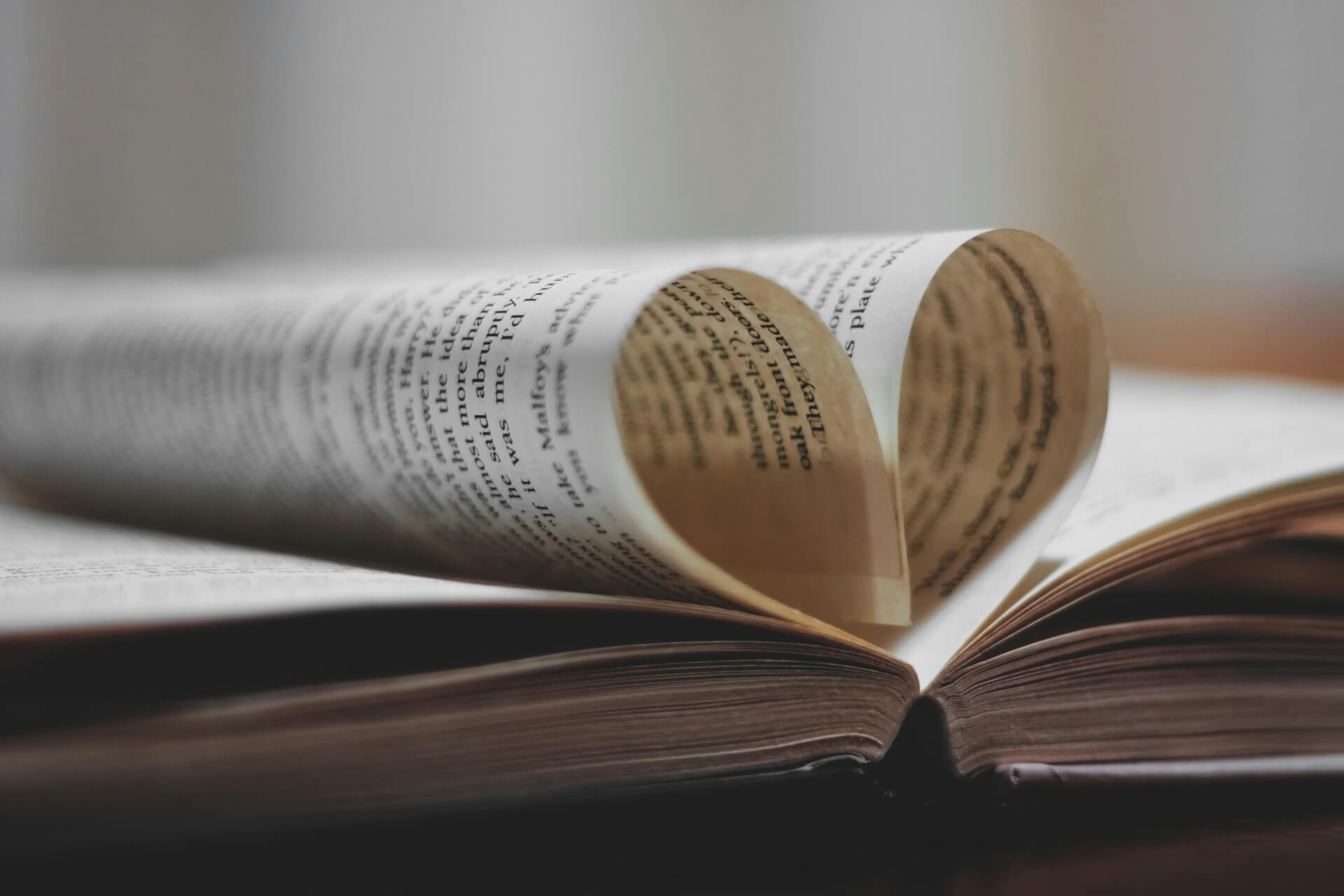 Aliados literarios