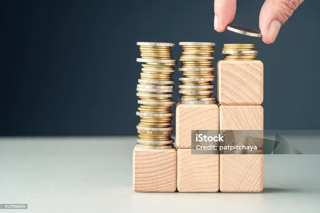 Partie 2 : Gérer son Association – Gestion comptable et subventions | Link'Elles