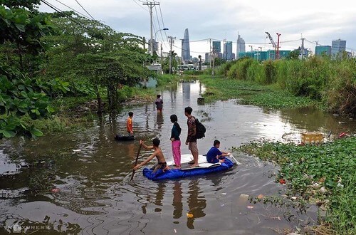 Chần chừ xử lý vụ Thủ thiêm vì có quá nhiều cổ thụ xía vào bao che | Vietnam Fraternité