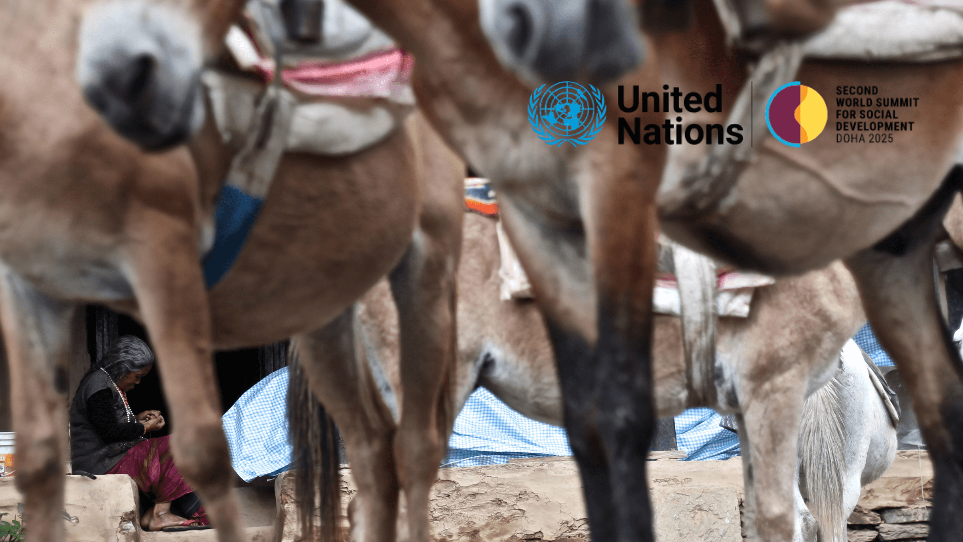 The Second World Summit for Social Development - WSSD2 | Forus