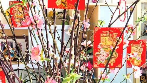 Mùa xuân trong nhạc ngoại lời Việt | Vietnam Fraternité