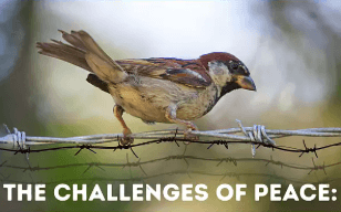 Việt Nam : Quá khứ không vui và không thành thật | Vietnam Fraternité