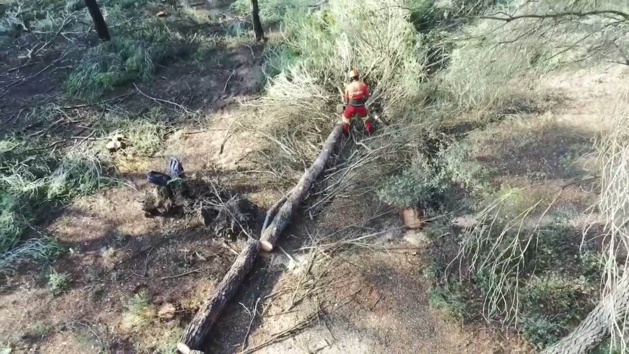 Récolte de bois : Quels métiers ?