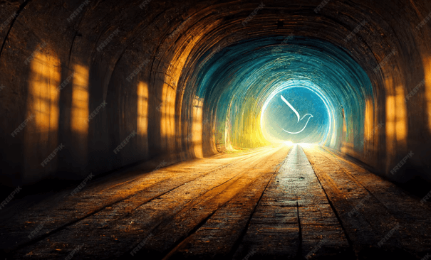 Ánh sáng dân chủ cuối đường hầm | Vietnam Fraternité