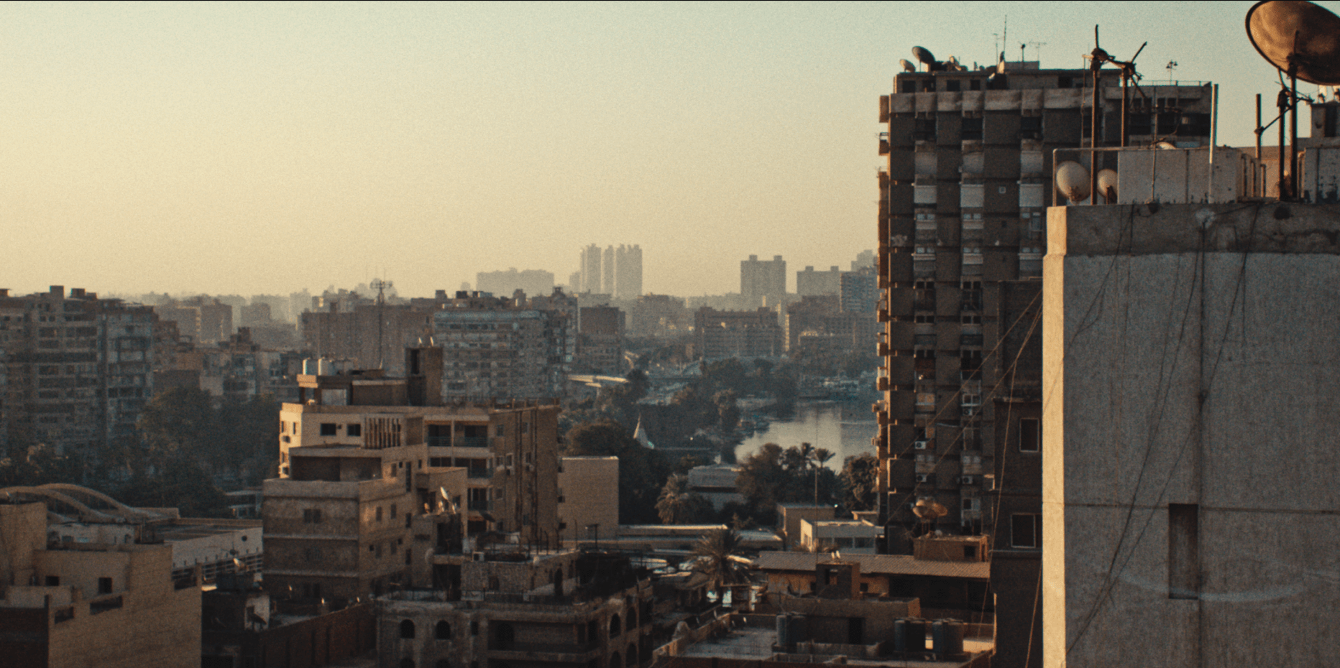 - | Vadim Alsayed