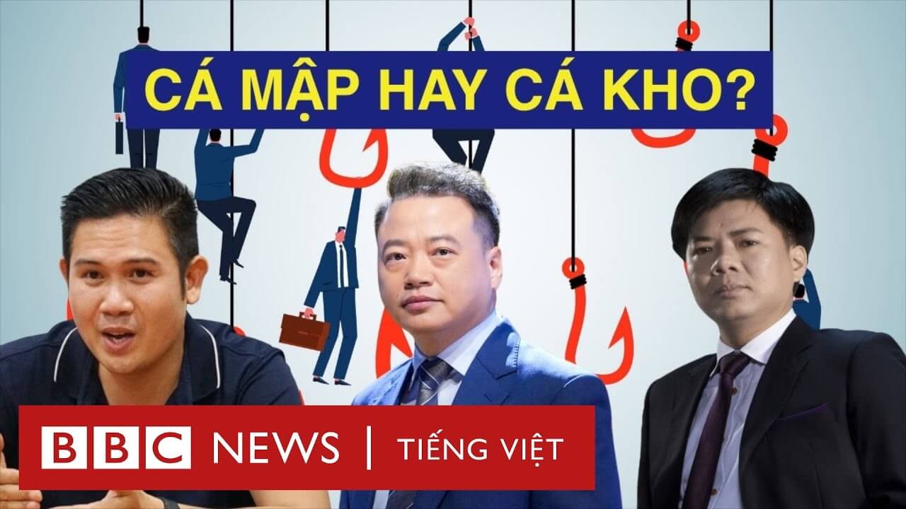 CÁ MẬP MẮC CẠN: KHI CÁC ‘SHARK’ VƯỚNG VÒNG LAO LÝ, BÊ BỐI