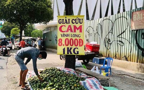 Đảng lo giải cứu bất động sản mà quên nông dân, công nhân | Vietnam Fraternité