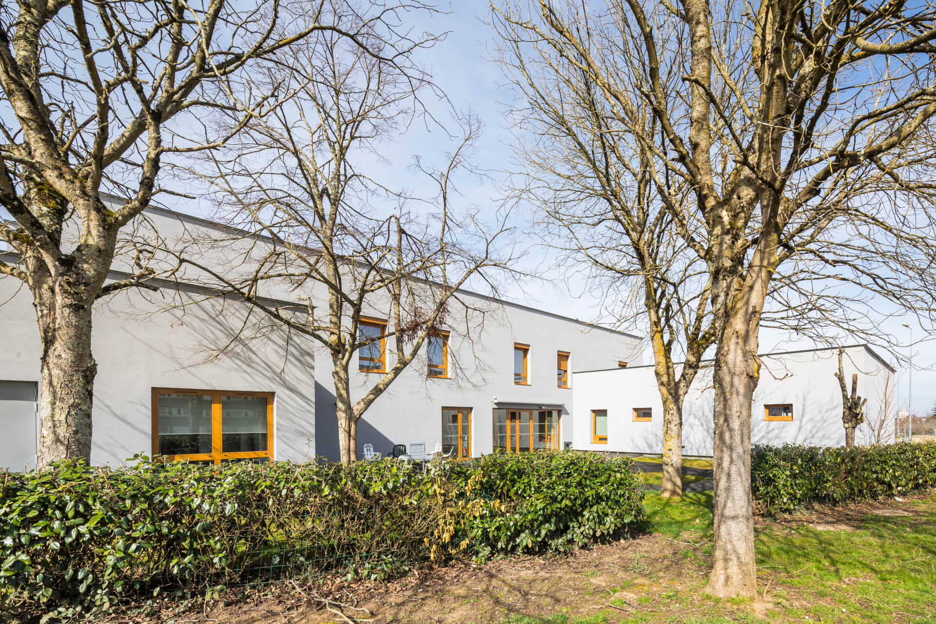 - | BVL Architecture