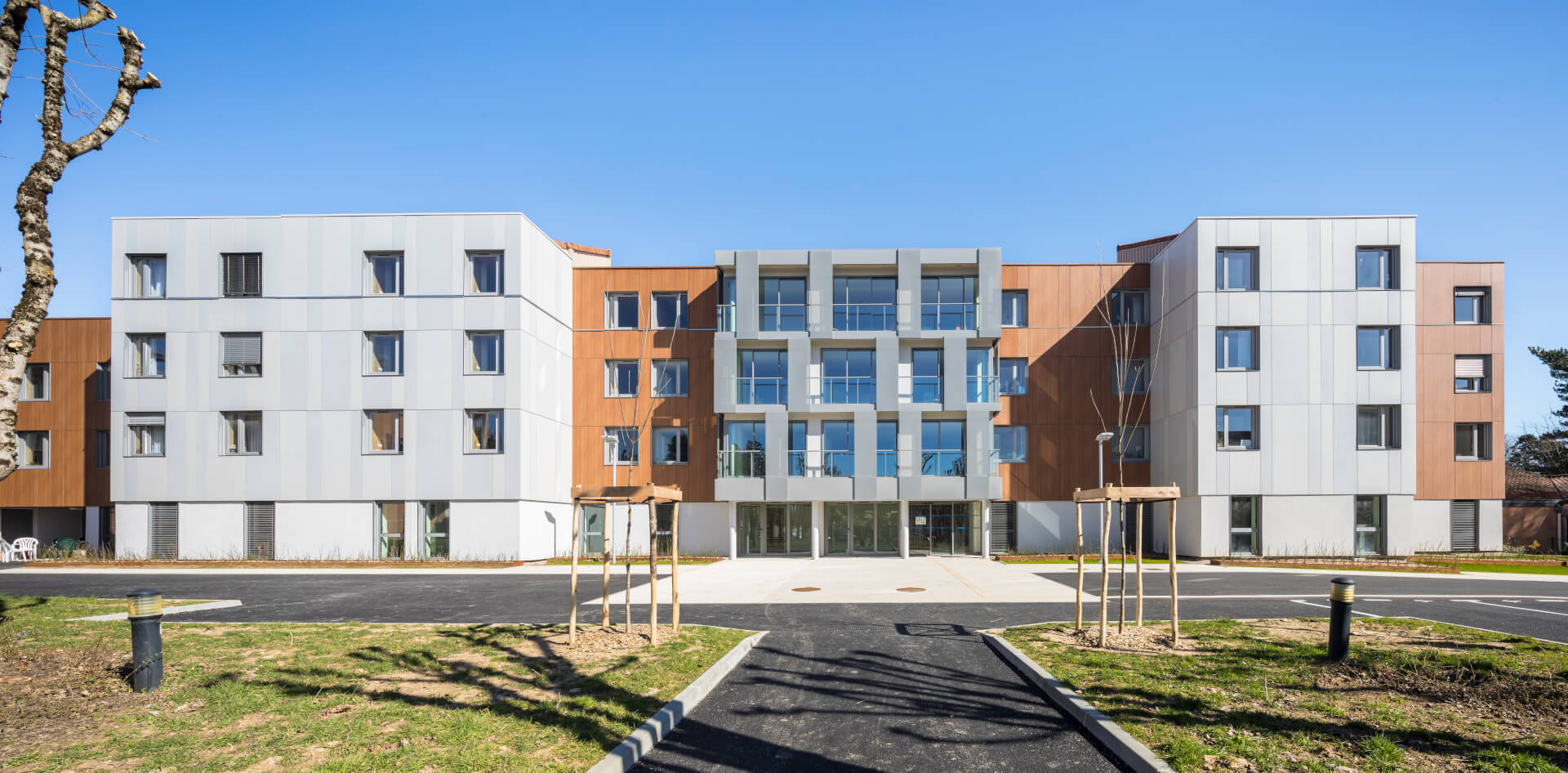 - | BVL Architecture