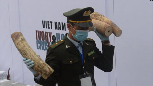 Việt Nam bị Mỹ đưa vào nhóm ‘trọng tâm’ buôn bán động vật hoang dã | Vietnam Fraternité